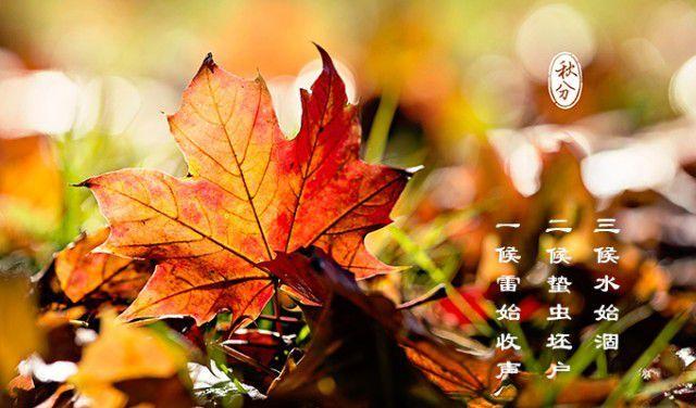 秋分吃什么傳統(tǒng)食物？8種傳統(tǒng)食物不要錯過