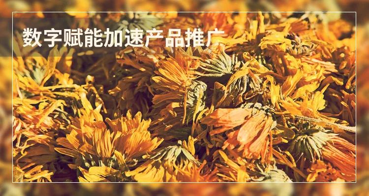 90后健康養生大揭秘_90后養生大軍_揭秘養生90后健康大事