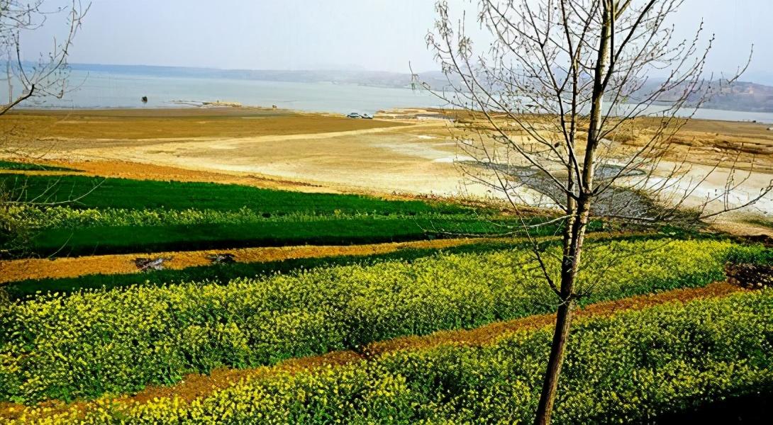 馬上就立夏了！抓住春天的最后幾天，好好給身體排排毒